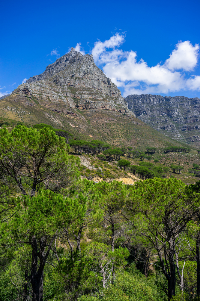 South Africa coastline